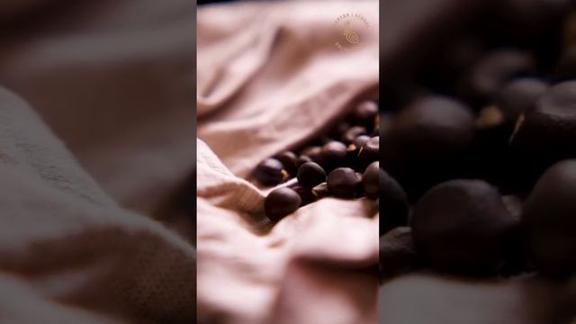 Чекалкин орен - необычные и вкусный орех для Подмосковья смотреть онлайн