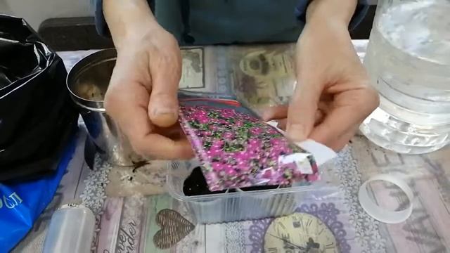 Лобелия. САМЫЙ простой способ выращивания из семян. Посев для выращивания без пикировки. смотреть онлайн