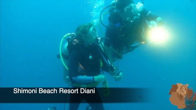 Shimoni Beach Resort Diani смотреть онлайн