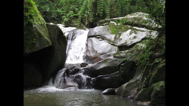 Datos 🤓 INTERESANTE de la SIERRA NEVADA de 🏔️Santa Marta!!! смотреть онлайн