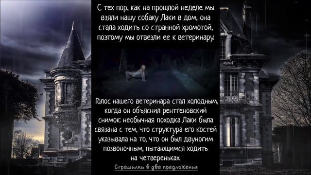 Подборка страшных историй в два предложения. 10 страшилок в одном видео. смотреть онлайн