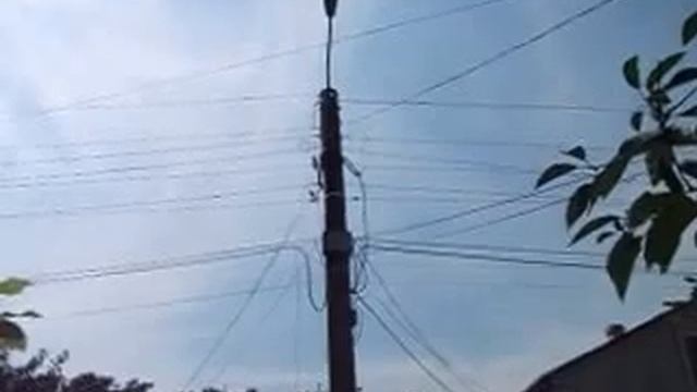 Жизнь-природа и человек смотреть онлайн