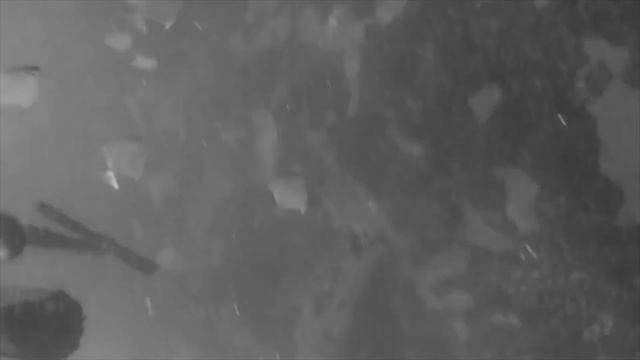 Собираетесь в Шарджу? Обязательно знать! Советы В помощь туристу. Сам Себе Турагент смотреть онлайн