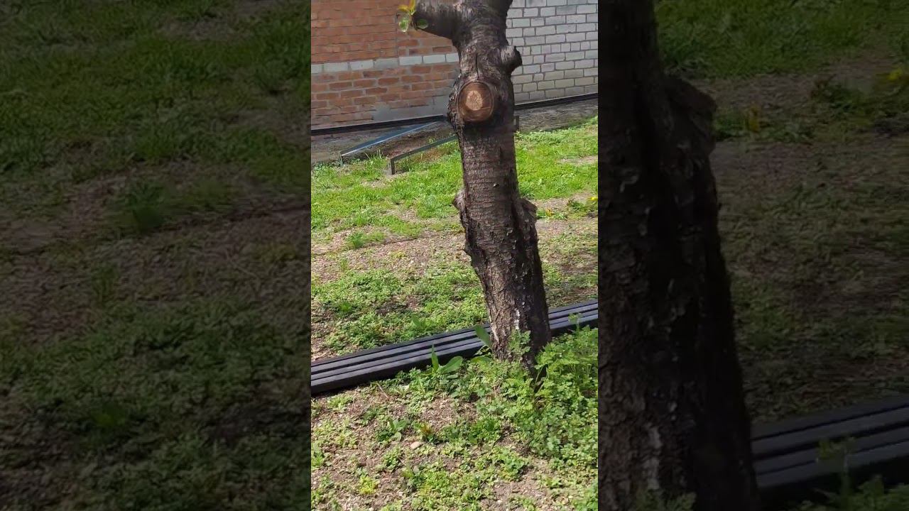 привезли трубы ,будем делать новый забор смотреть онлайн