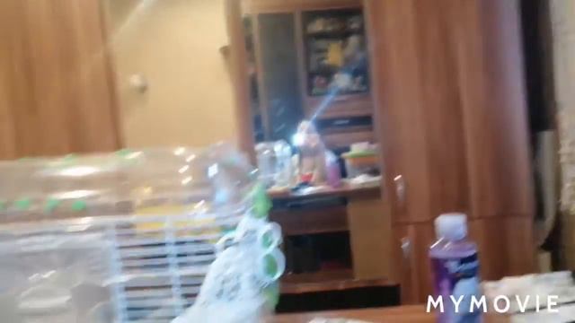 ПЕРВАЯ ТРАВМА НАФАНИ || ЧУТЬ НЕ СЛОМАЛ ЛАПКУ В КОЛЕСЕ смотреть онлайн