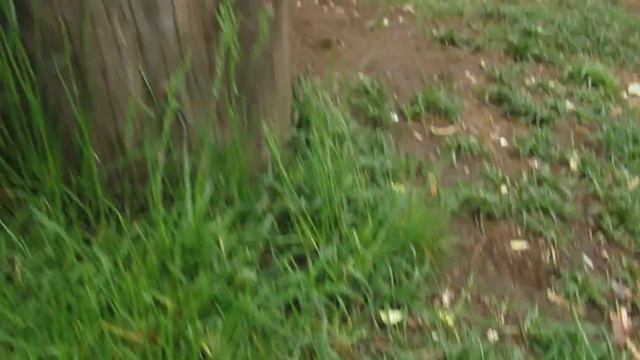 Нож в стиле боуи. смотреть онлайн