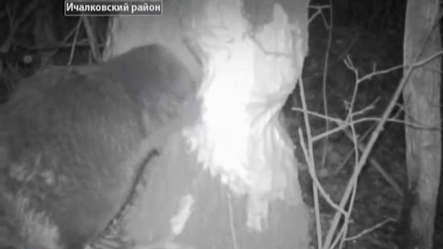 В год экологии и особо охраняемых природных территорий ГТРК «Мордовия» совершает путешествие по зап смотреть онлайн