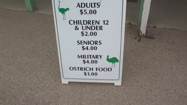 Солвэнг(США) Страусиная Ферма перед заездом в ГОРОД смотреть онлайн