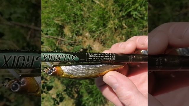 Мой новый минноу 85 мм (кора тополя). смотреть онлайн