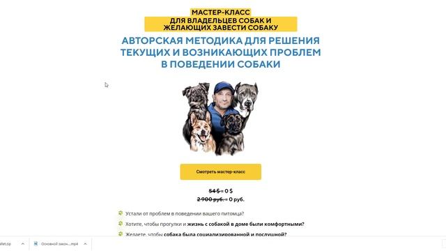 Собака гадит мимо пеленки смотреть онлайн