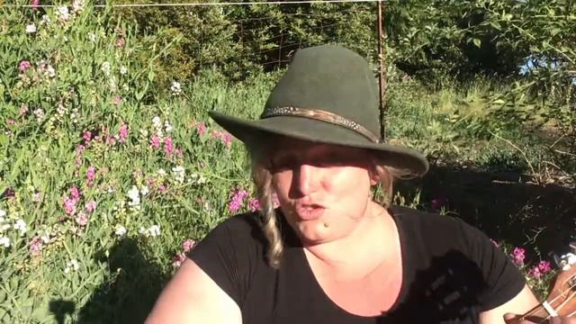 ALISON KRAUSS LUCKY ONE COVER - FEMALE BLUEGRASS COVER - Lucky One Cover - Alison Krauss Cover смотреть онлайн