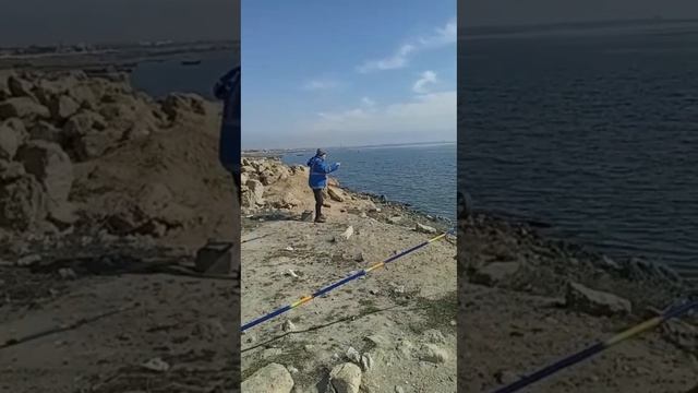 Поездка на рыбалку. Кефаль #рыбалка #удочки #рыба #кефаль #kefal #balıqovu #baliq смотреть онлайн