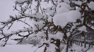 Падает снег ... оркестр Поля Мориа