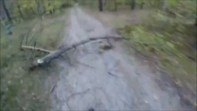 самые жестоке нападения медведя на человека смотреть онлайн