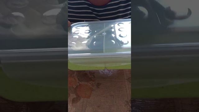 Новая коллекция от Фаберлик - ЭКОПОСУДА (обзор) смотреть онлайн