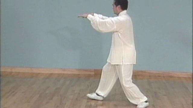 24 формы Тайцзы цюань Подробная инструкция. Ч 6 смотреть онлайн