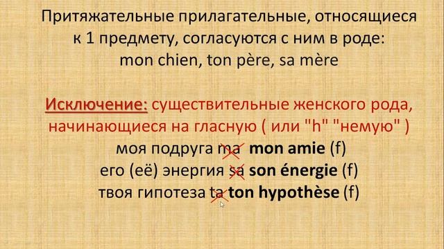 Французские притяжательные прилагательные МОЙ(МОЯ), ТВОЙ(ТВОЯ), ЕГО(ЕЕ), НАШ, ВАШ, ИХ смотреть онлайн