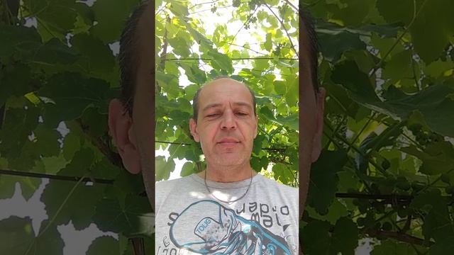 Последний стих на русском смотреть онлайн
