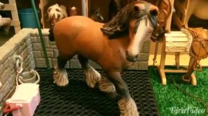Обзор моей коллекции шляйх (Schleich)#4