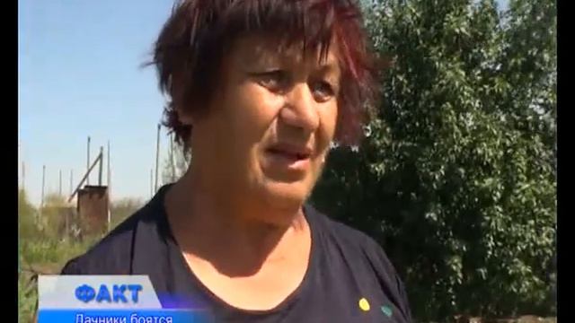 Дачники боятся остаться без воды смотреть онлайн