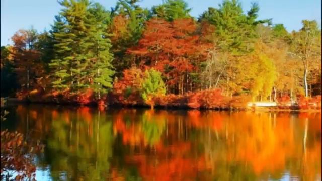 Костры. смотреть онлайн