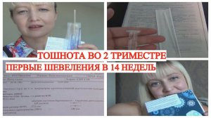 ПЕРВОЕ ШЕВЕЛЕНИЕ В 14 НЕДЕЛЬ🤰 ТОШНОТА ВО 2 ТРИМЕСТРЕ🤷♀️ РЕЗУЛЬТАТЫ 1 СКРИНИНГА
