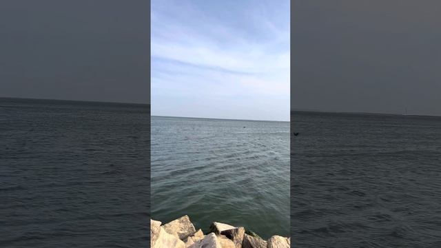 Скоропомощник от всех неудач и черной полосы смотреть онлайн