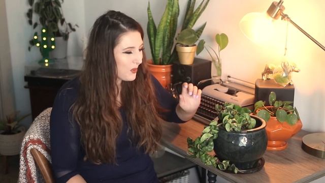 Hoya Carnosa Compacta (Hindu Rope) Plant Care Guide For Beginners