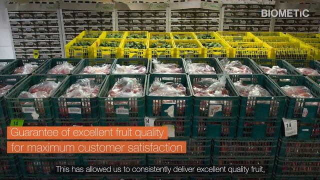 BIOMETiC Q Eye Smart | Full Success Story MIRIAM SHOHAM (IL) – Making Fruit Sorting Smart смотреть онлайн