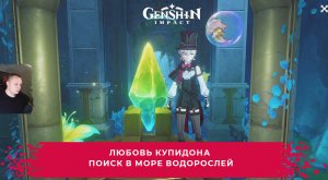 Геншин Импакт ➤ Любовь Купидона ➤ Поиск в Море водорослей ➤ Прохождение игры Genshin Impact