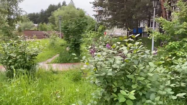 #СУРГУТ РЕЛАКС В ЦЕНТРАЛЬНОМ СКВЕРЕ 16 ИЮНЯ 2022/ ЖДЕМ ЛЕТО #север #хмао #сибирь #погода #лето2022