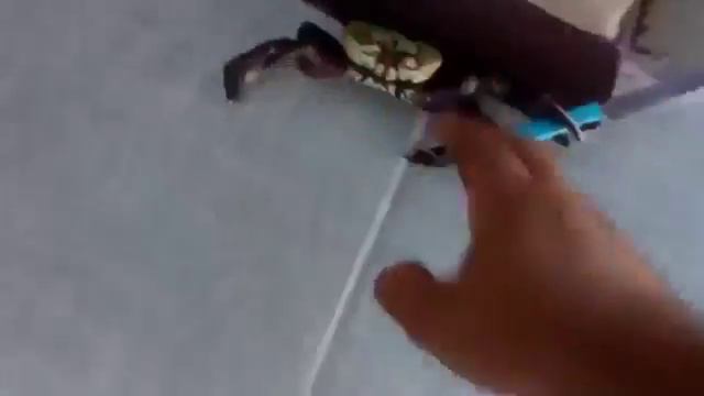 Опасный краб :D смотреть онлайн