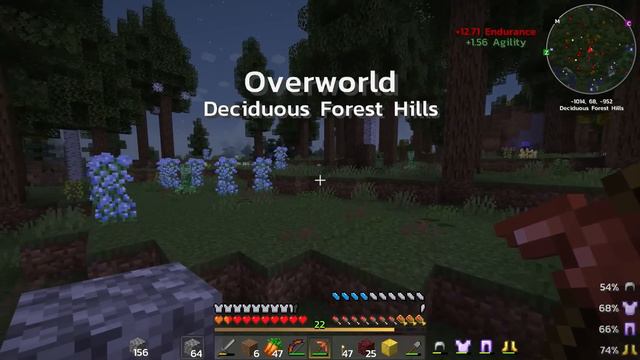 (ภาค 2) EP. 4 วิธีไปเนเธอร์เเบบใหม่ - มายคราฟ Roguelike Adventures and Dungeons 2 -1.16.5 смотреть онлайн