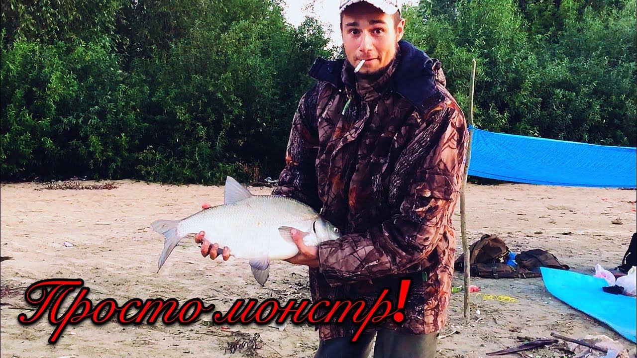 Я думал он вырвет фидер из рук: Ловля трофейного леща ночью!!! смотреть онлайн