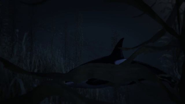 GTA 5 Пасхалка КАК СТАТЬ ЗВЕРЕМ КАСАТКА ЛОФОФОРА №7 смотреть онлайн