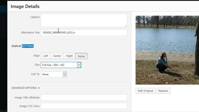 How To Insert An Image In Wordpress Posts смотреть онлайн