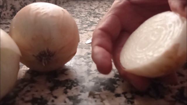 Cebolla Para Curar Gallos Y Gallinas