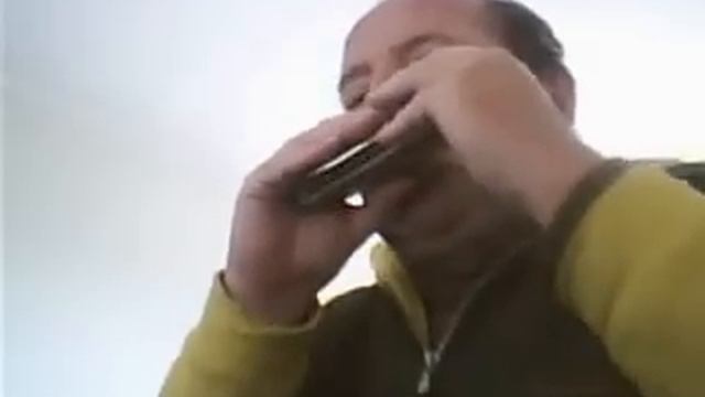 hino "mario da gaita"mariodagaita "maria de nazare" igreja "catolica" harmonica maria de nazare смотреть онлайн