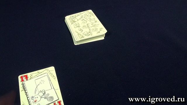 Нет уж, спасибо! Обзор настольной игры от Игроведа смотреть онлайн