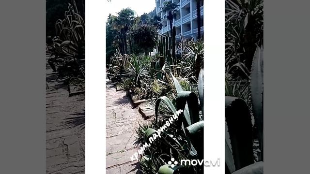 Крым. Партенит смотреть онлайн