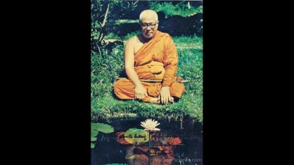 Руководство к жизни 1