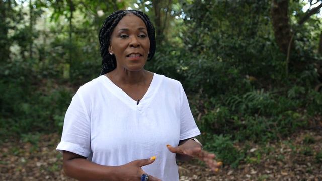 iSimangaliso KZN Ep 1 St Lucia - "Ironvan" Adventures with Ironman 4x4 смотреть онлайн