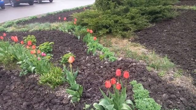 Есть ли жизнь после 50-ти:))) Ура!!! Сняли швы!!! Блефаропластика век смотреть онлайн