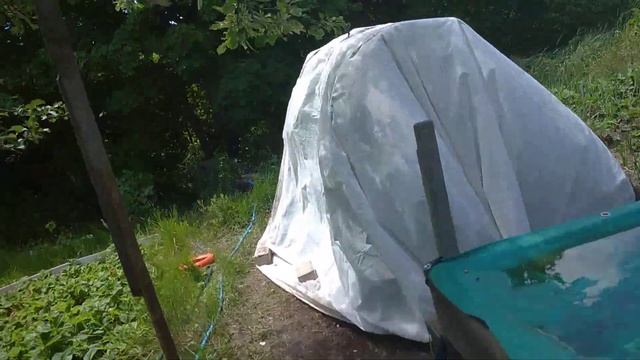 Играем в ПРЯТКИ с ФУРИЕЙ и ДЕЛЬФИНЧЕКОМ НА ДАЧЕ Троллинг Ловушка 100% смотреть онлайн