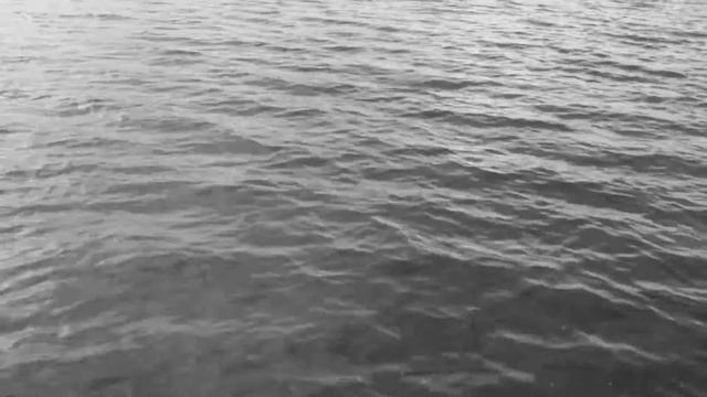 Leonard Cohen True Detective смотреть онлайн