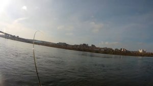 Форель Нахлыст Ангара