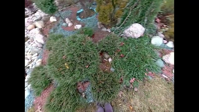 Мое топиарное искусство. смотреть онлайн