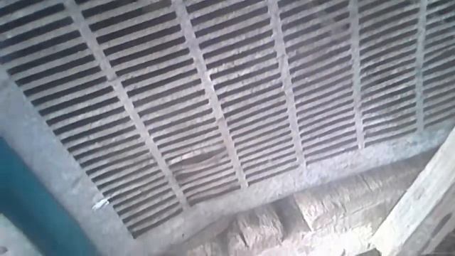 Крольчиха готовит гнездо! смотреть онлайн