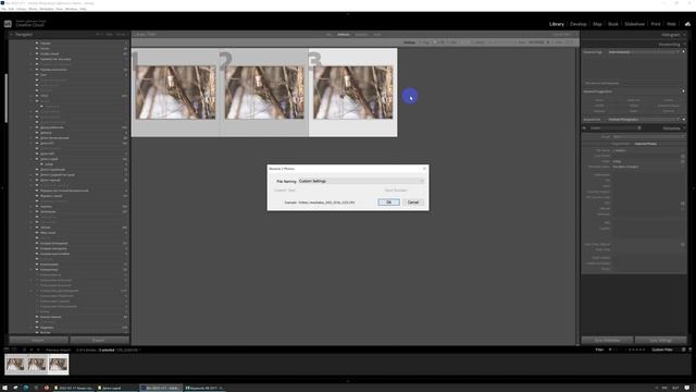 Сортировка и атрибутирование фотографий смотреть онлайн