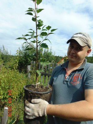 Железов Сергей - лучший питомниковод России.